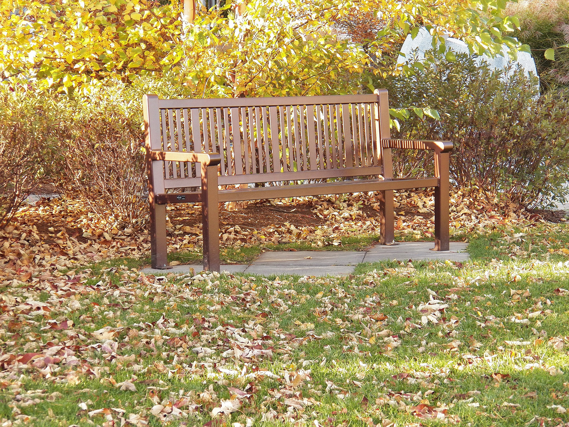 park-bench-free-stock-photo-public-domain-pictures
