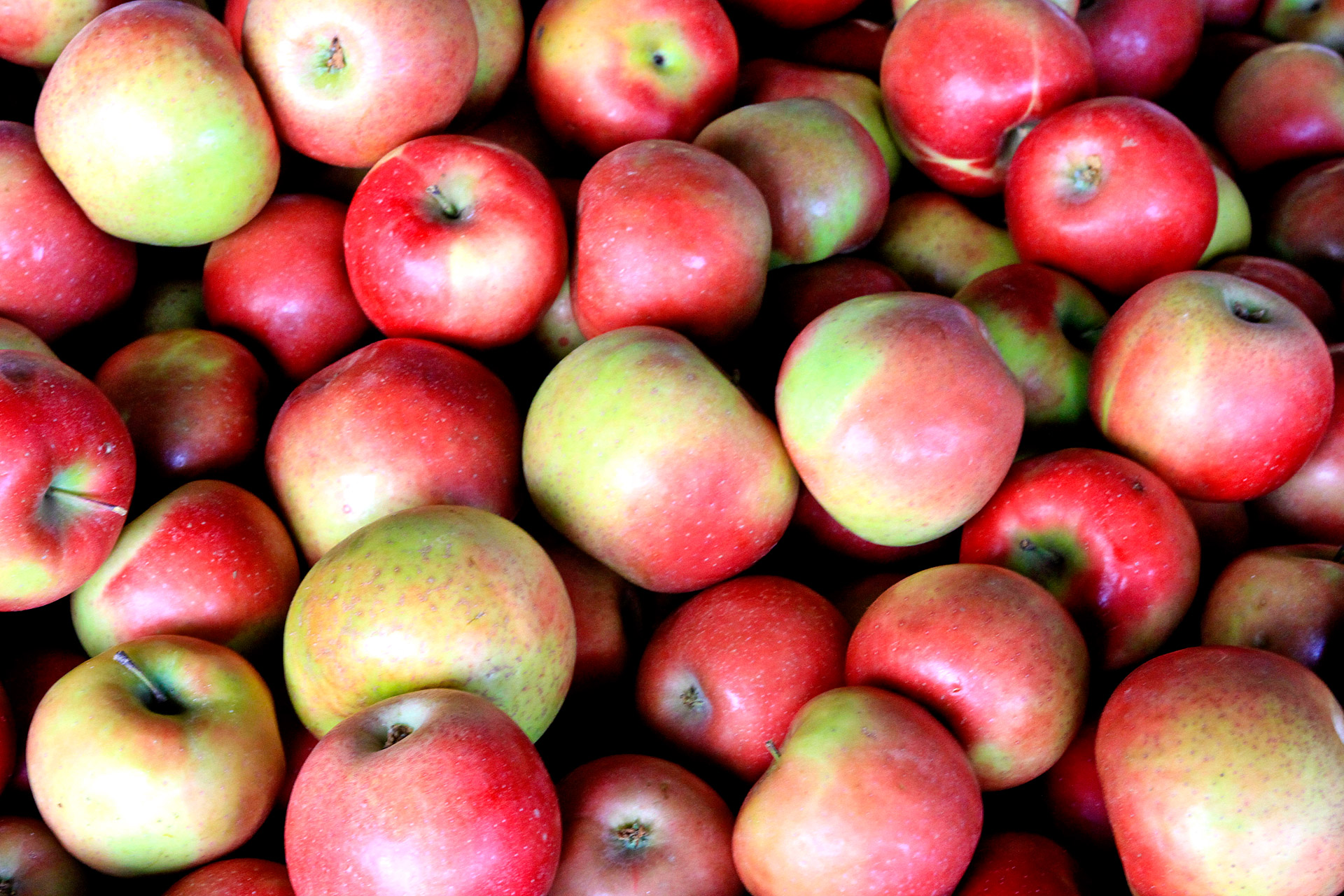 red-apples-free-stock-photo-public-domain-pictures