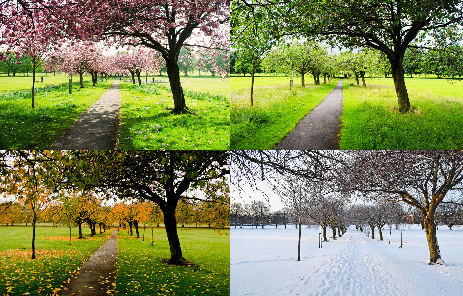 The seasons: spring, summer, fall, winter