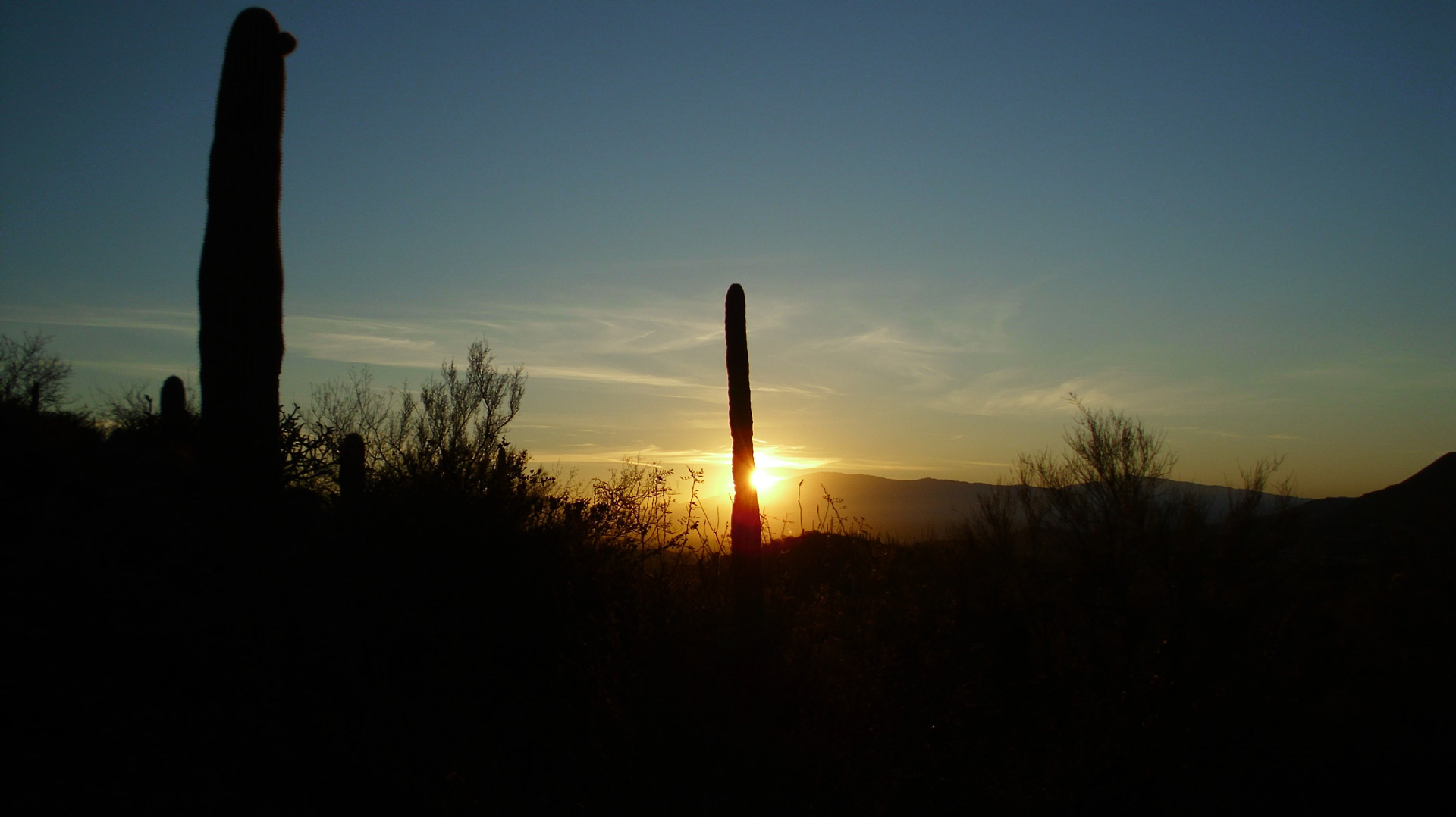 tucson-sunrise-2012-free-stock-photo-public-domain-pictures