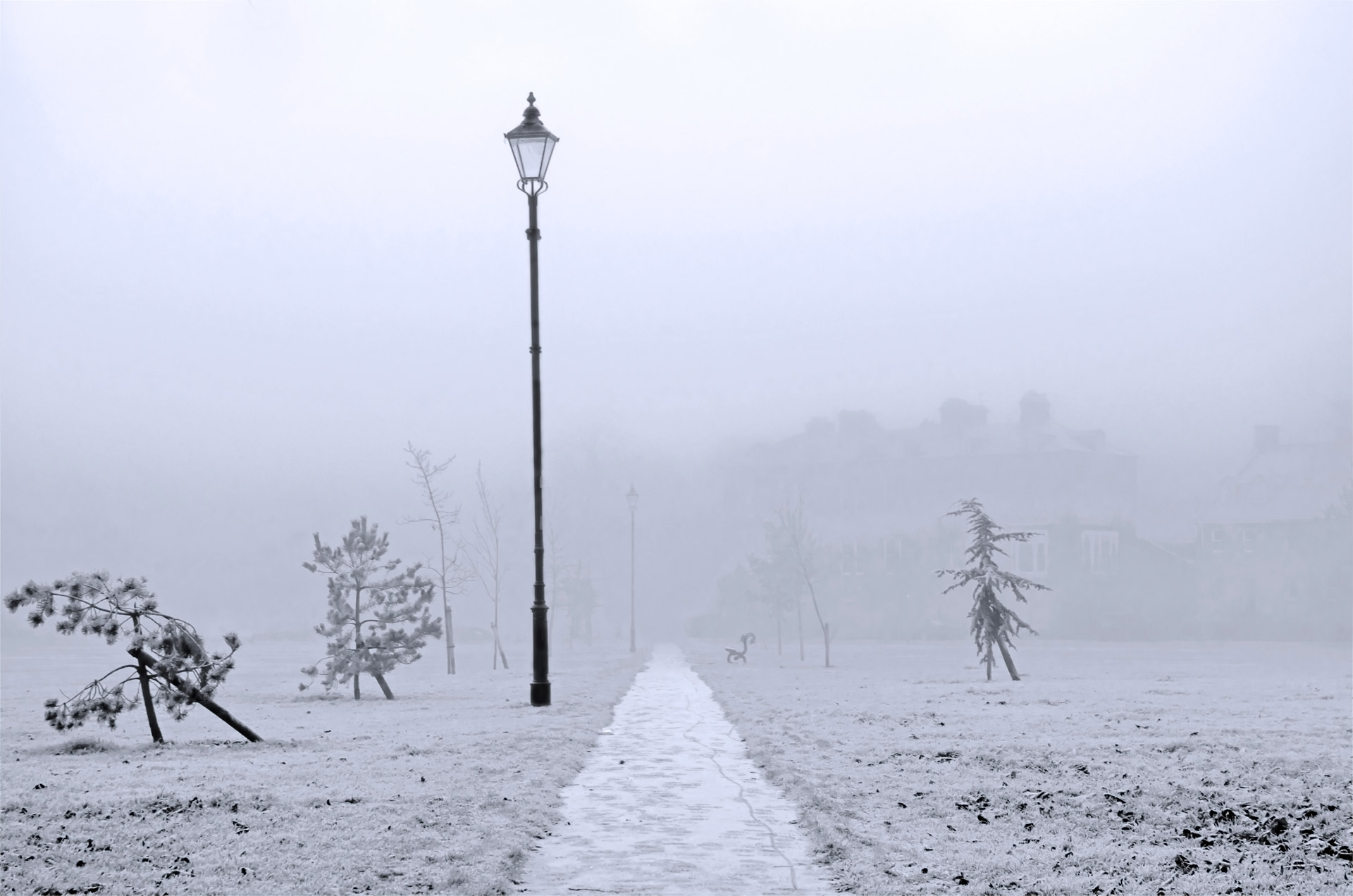 Winter Fog Free Stock Photo Public Domain Pictures