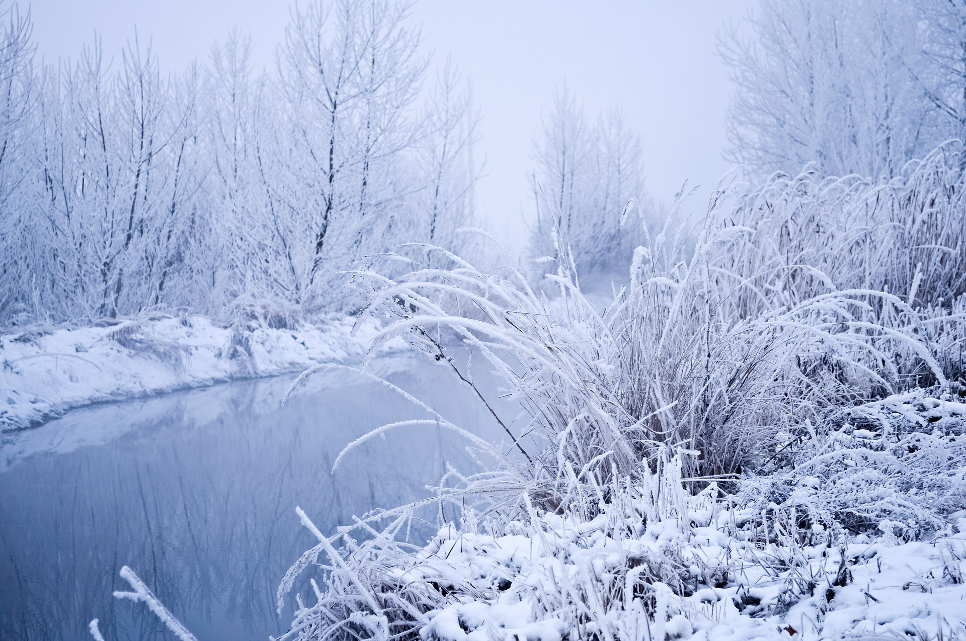 winter-is-a-great-free-stock-photo-public-domain-pictures