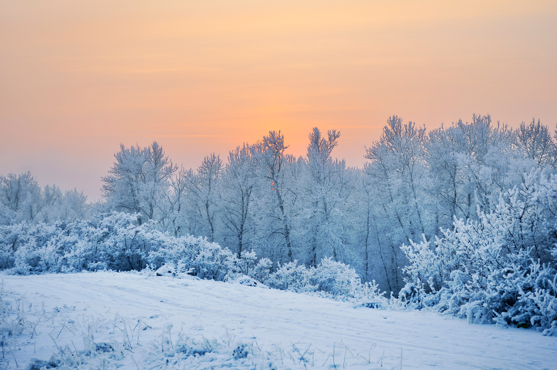 winter-sunset-free-stock-photo-public-domain-pictures