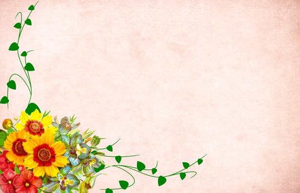 Flower Background Free Stock Photo - Public Domain Pictures