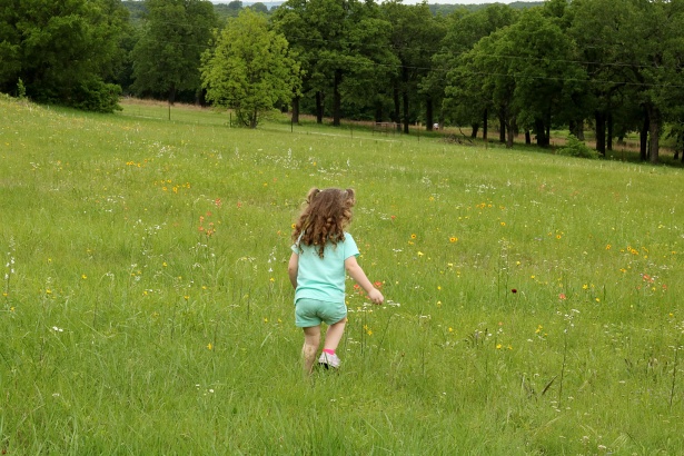 Niña de 5 años caminando a través de una pradera Fotografía de