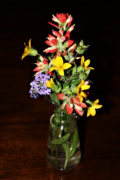 Flori De Primăvară In Vază Poza Gratuite Public Domain Pictures