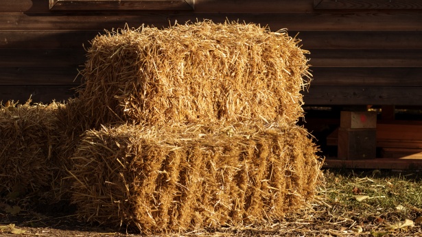 Straw Free Stock Photo - Public Domain Pictures