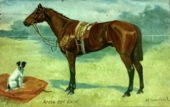 A Race Horse & Jack Russell után