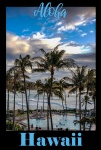 Plakat podróży Aloha Hawaii