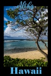 Aloha Hawaii Travel Poster