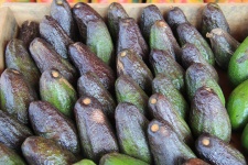 Фрукты авокадо