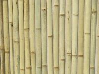 Recinto di bambù