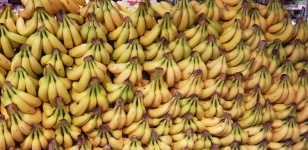 Bananen Bananen Fruitvruchten