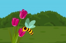 Bee And Flower