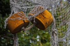 Buoys In Fish Net