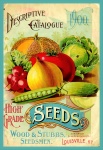 Catalogue de semences vintage - 2