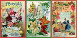 Catálogos de sementes vintage - 4