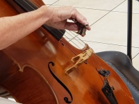 Cellist Playing Music