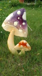 蘑菇 -  1
