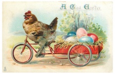 Chicken Bicycle Vintage Ostern