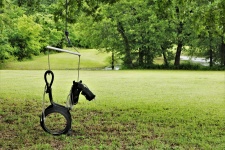 Child's Horse Tire Swing In Country