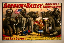 Plakat rocznika słonie cyrkowe