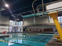 Deska do nurkowania w basenie konkurencj