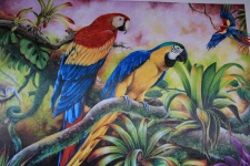 Costa Rica-muurschildering