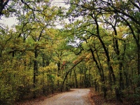 Country Trail in autunno 2