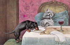 Tacskó alvó kutyákat eszik