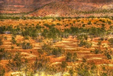 Scenic du désert