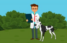 Hond dokter