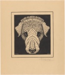 Cabeça de cachorro Julie de Graag, 1920