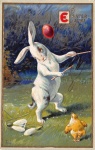 Ostern Freuden Kaninchen Hase Huhn