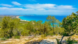 Formentera Landscape