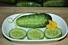 Fresh Cucumbers in Dish