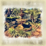 Fontana del giardino