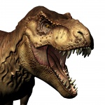 Zlatý t-rex poprsí