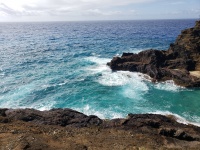 Hawaiian Ocean Scenic