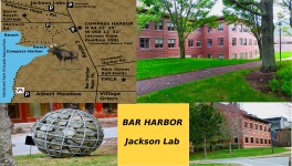 Jackson Lab