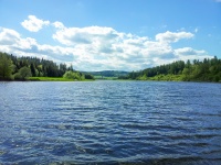 Lacul rural