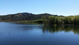 Lake Marsh