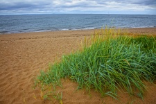 Plaża Musselburgh