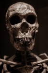Cráneo neandertal