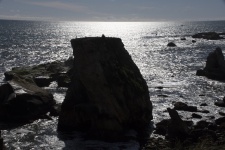 Ocean Boulder Silhouette