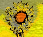 毕加索向日葵