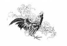 Rooster Vintage Drawing