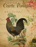 Cartolina floreale vintage gallo