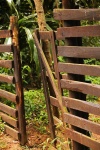 Rustikt staket med öppen grind