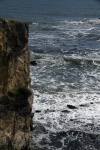 Sea Cliff